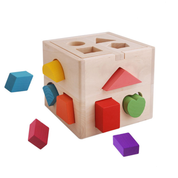 Montessori Shape Matching Cube